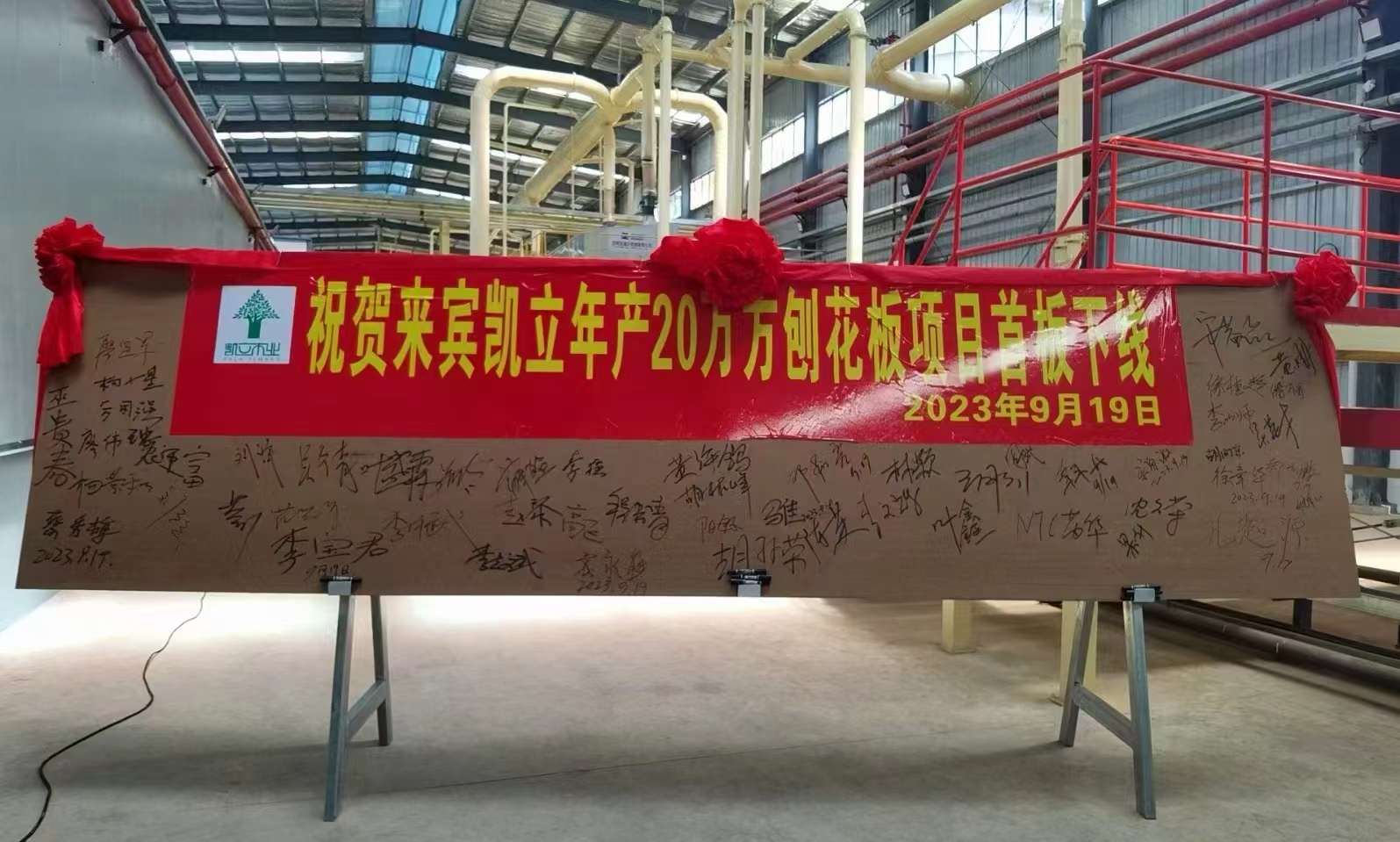 祝贺 |  广西凯立木业年产20万方刨花板首板正式下线